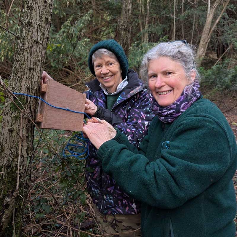 Volunteers installing Dormouse box near Brockham Lime Works