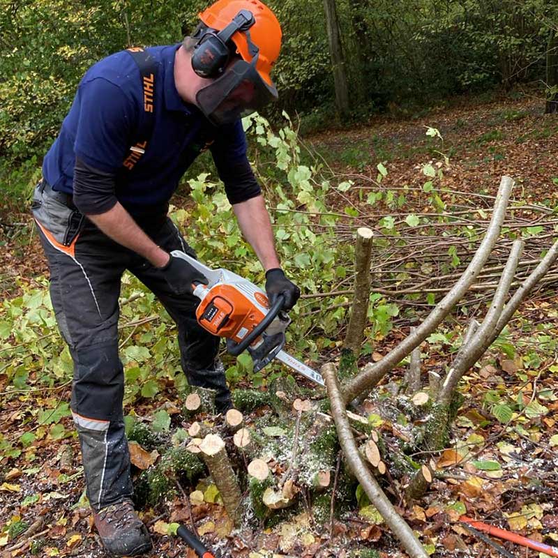 Friend of Ashead forrest cutting back with electric chainsaw.