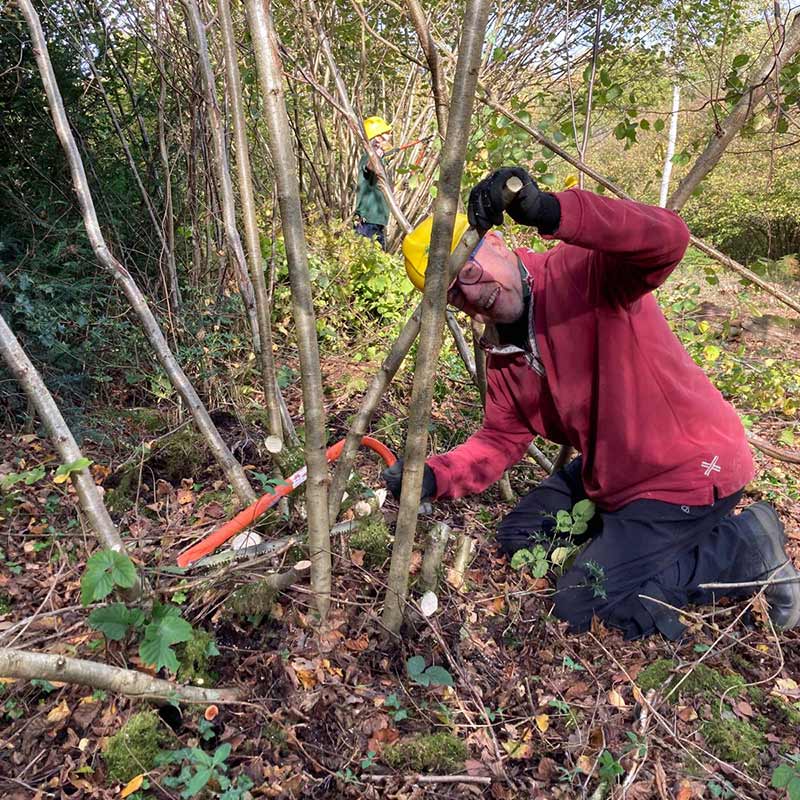 Lower Mole volunteer working on Ashtead Common, Surrey