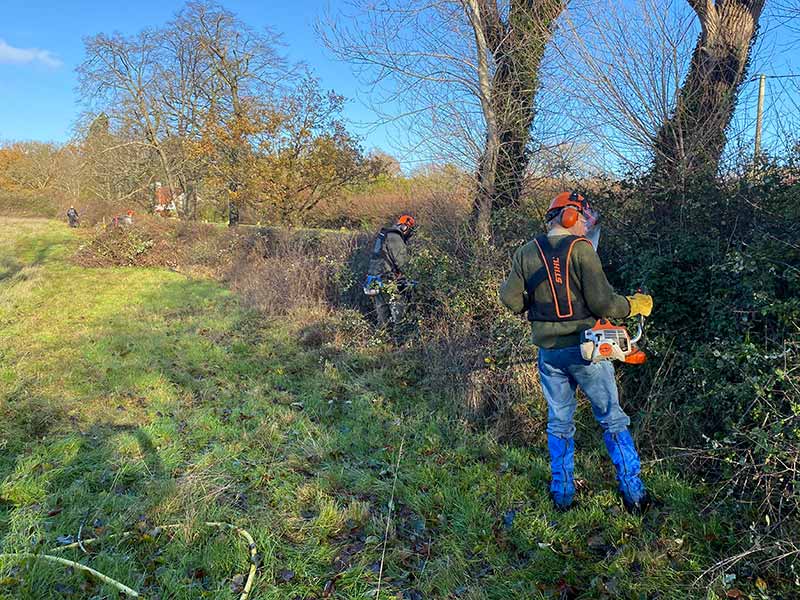Volunteers involved in hedge management in Ashtead, Surrey